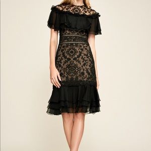 Tadashi Shoji Zaria dress